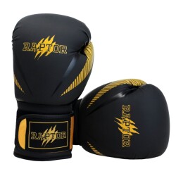 Raptor Boxing Gloves BBG - 1