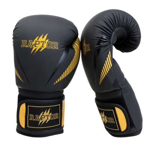 Raptor Boxing Gloves BBG - 2