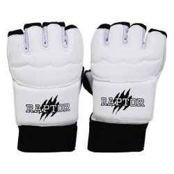 Raptor Taekwondo Gloves NVL - 1
