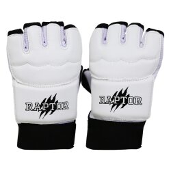 Raptor Taekwondo Glove - Raptor