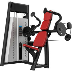 Raptor Triceps Extension - Raptor