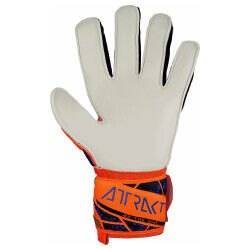 Reusch Attrakt Solid Kaleci Eldivenleri 5470515-2210 - 2