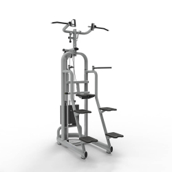 Vortex Assisted Chin Up/Dip TZ-6019 - Vortex